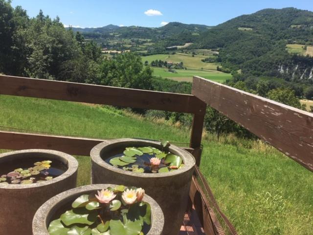 Casa Petra - Casa Tre Stelle - Casa Caneva - Ferien Fuer 6-14 Personen Ponti Eksteriør billede