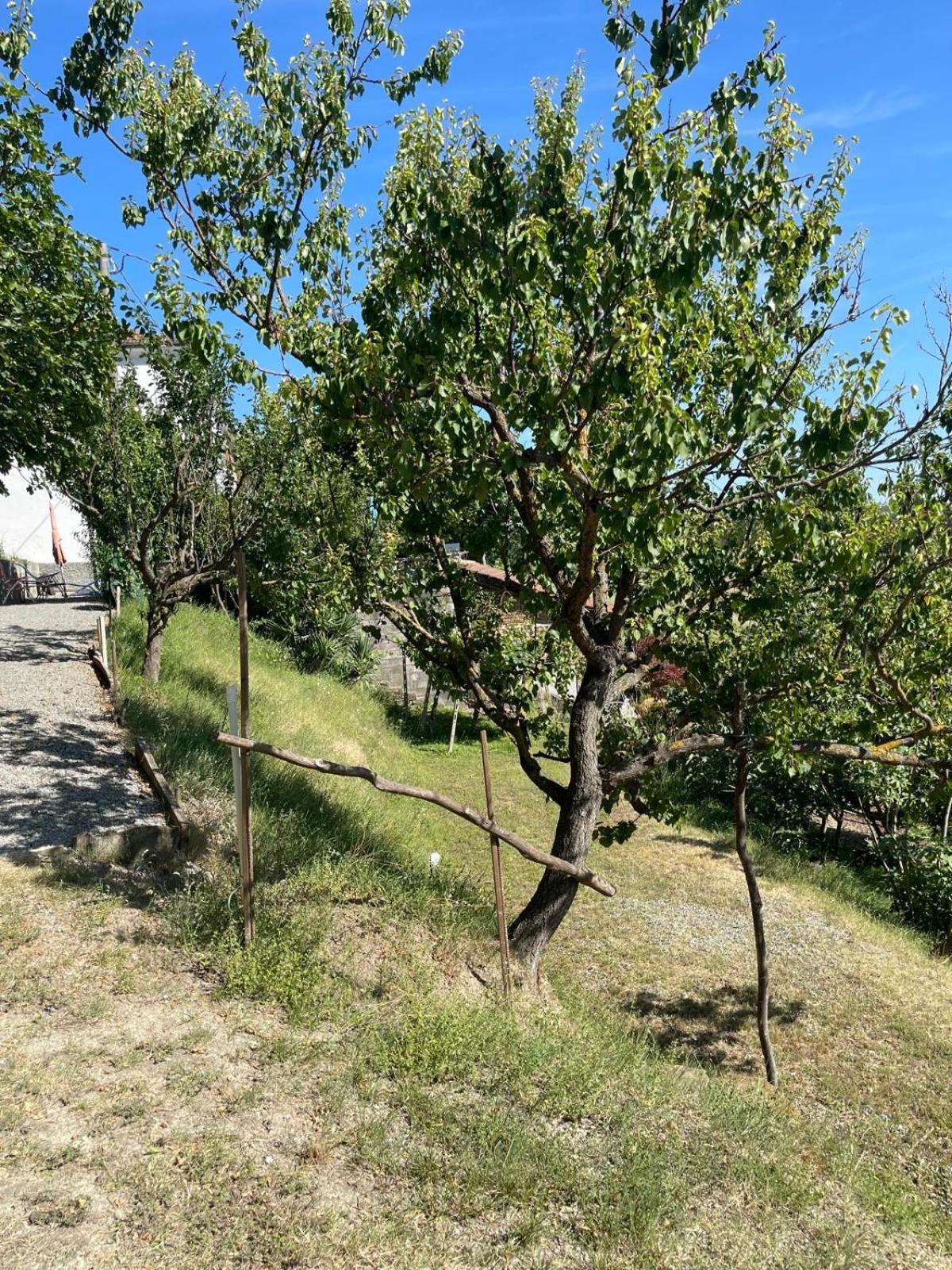 Casa Petra - Casa Tre Stelle - Casa Caneva - Ferien Fuer 6-14 Personen Ponti Eksteriør billede